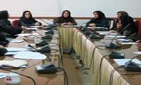 برگزاری جلسه هماهنگی بهداشت خانواده  شبکه بهداشت و درمان دماوند